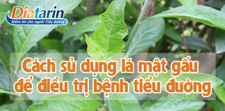 Lá mật gấu trị tiểu đường